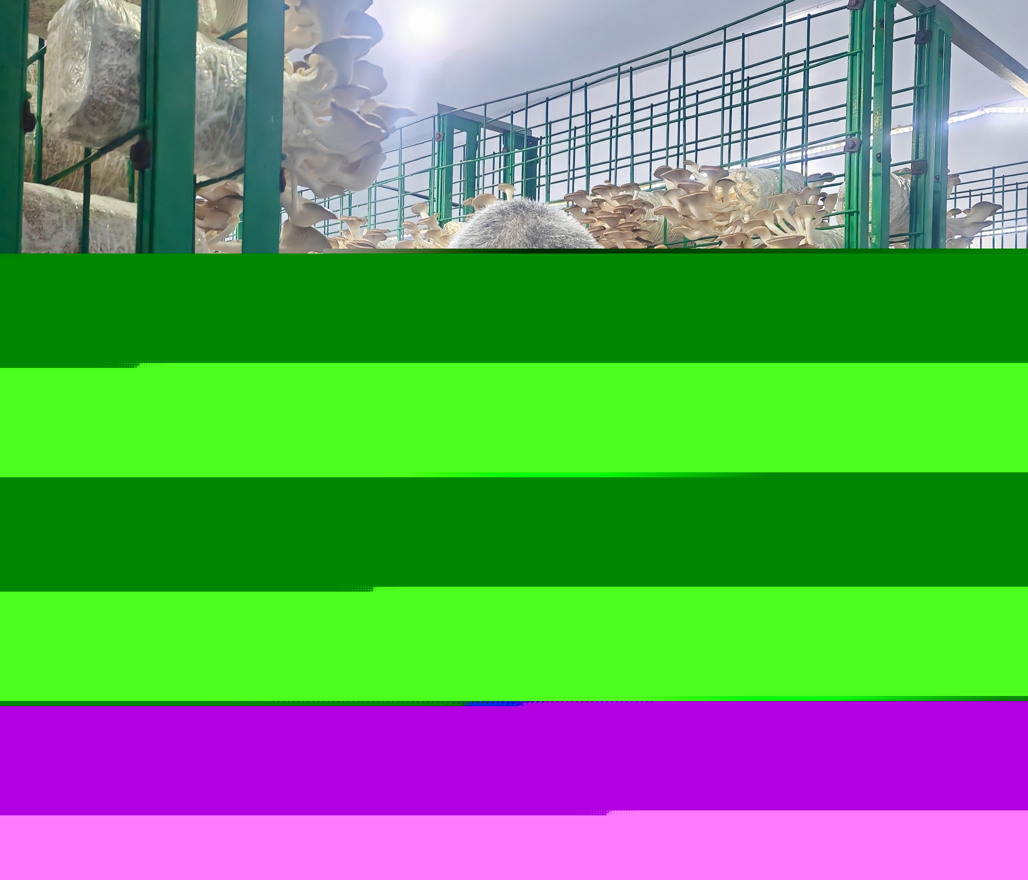 1721350829946090404.jpg