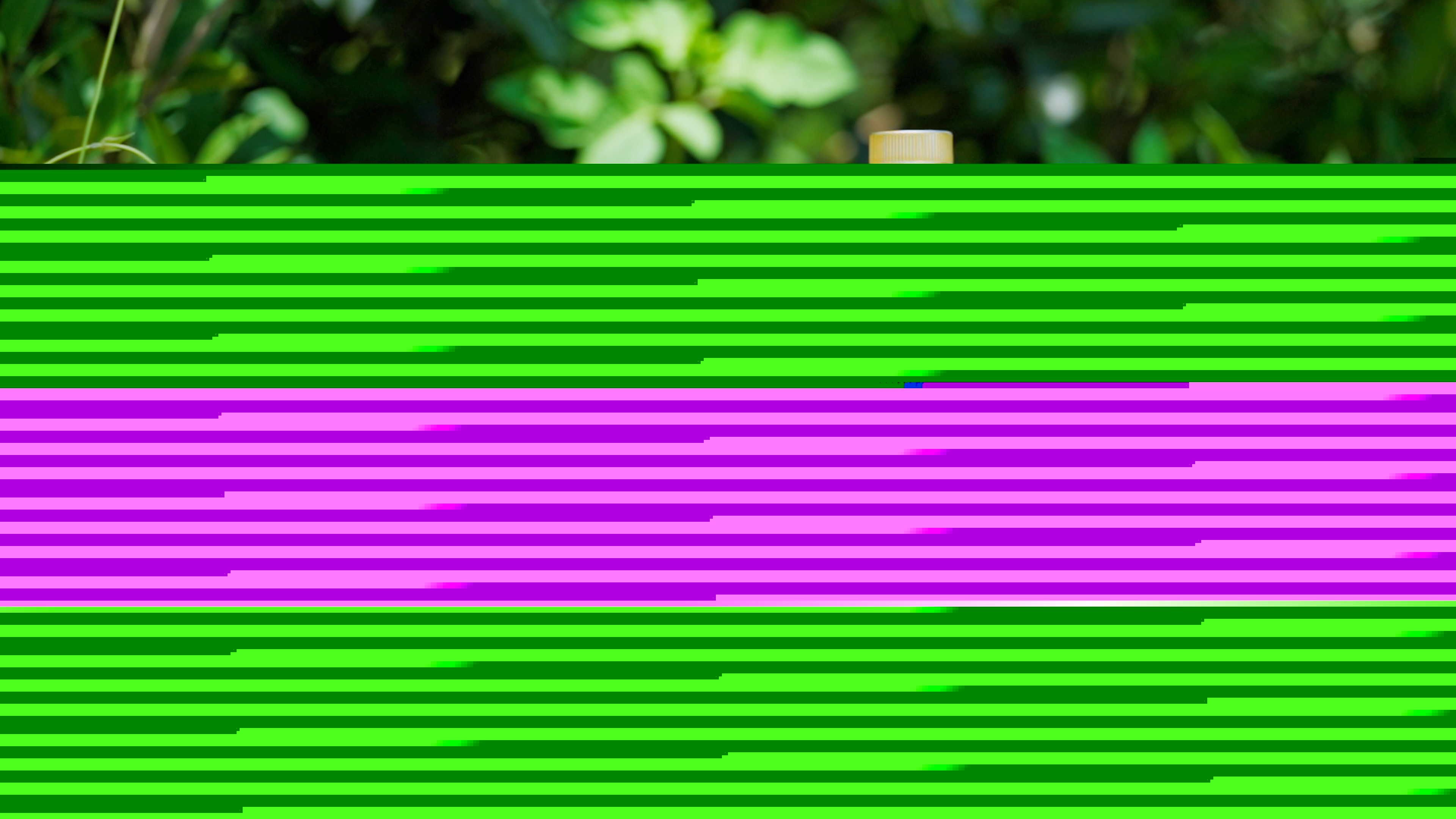 1698975672678026193.jpg